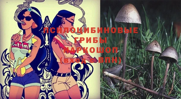 мет Богородицк