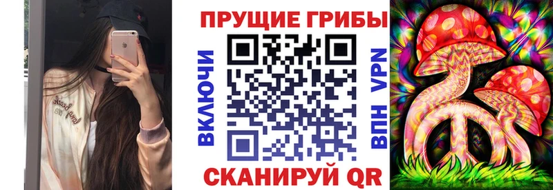 Псилоцибиновые грибы Psilocybine cubensis  Котовск 